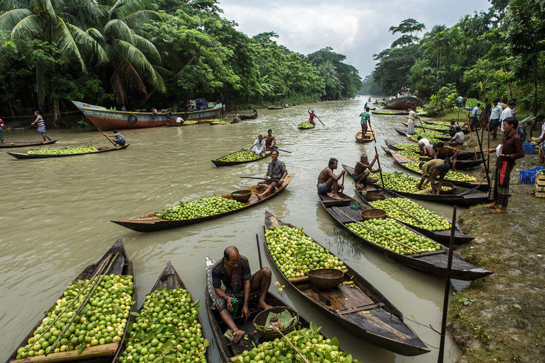 Floating-Guava-Market-Barisal