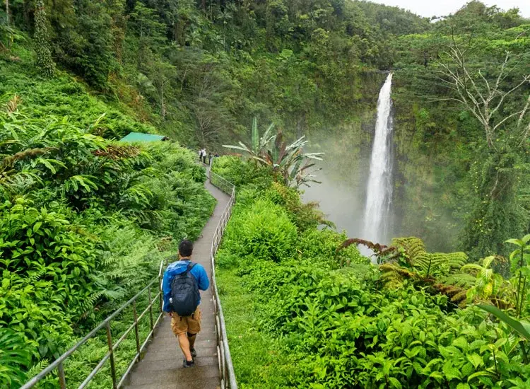 Alexandra Waterfalls (optimised)