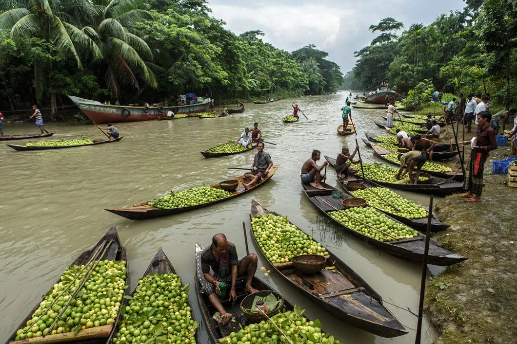 Floating Guava Market Barisal (optimised)