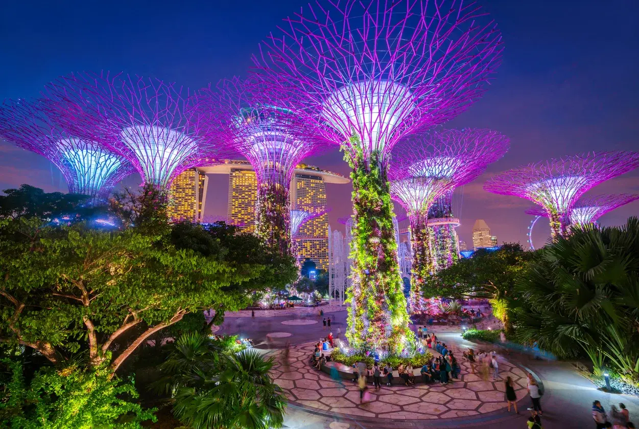 Singapore Supertrees and Skywalk 1 (optimised)