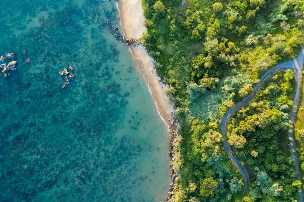 Aerial view of a green coastline and turquoise sea